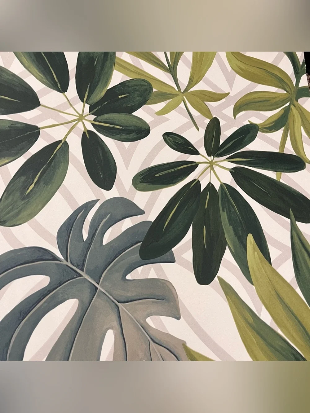 16 Large Assorted Designer Botanical Floral Wallpaper Sample Sheets Scrapbooking